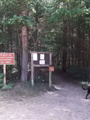 Lost Lake Trailhead - Interlochen,