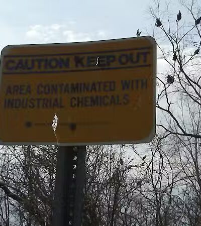 Harper Park - Ionia,