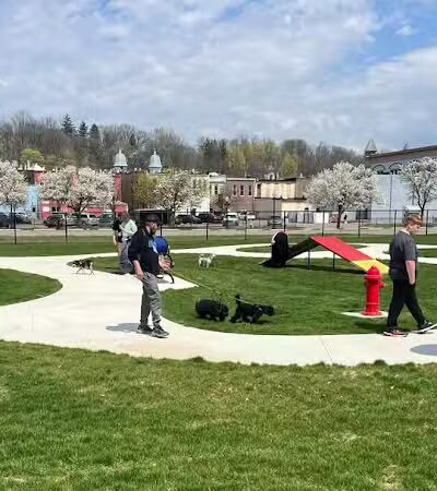 Ionia County dog park - Ionia,