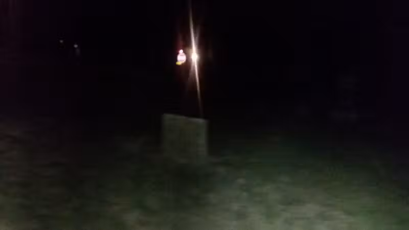 Mcann Park - Ionia,