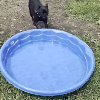 Thornberry Dog Park - Iowa City, IA