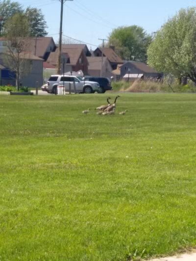 Waterworks Park - Ira Township,