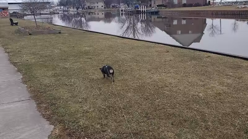 Waterworks Park - Ira Township,