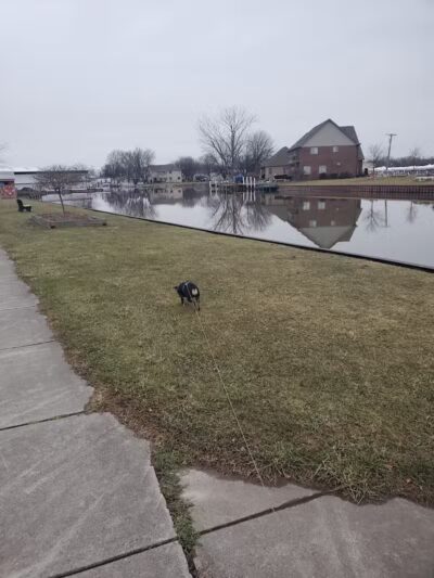 Waterworks Park - Ira Township,