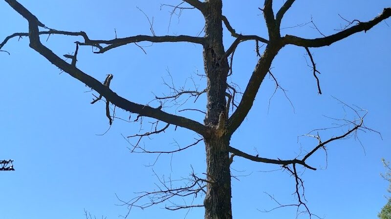 Ballentine Park - Irmo, SC