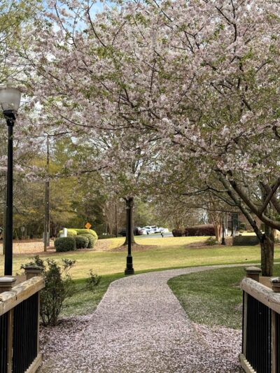 Irmo Town Park - Irmo, SC