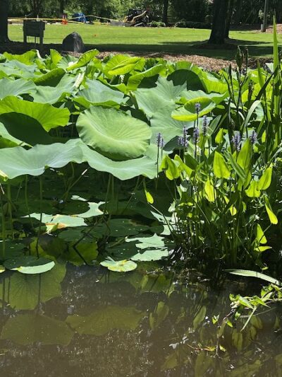 Irmo Town Park - Irmo, SC