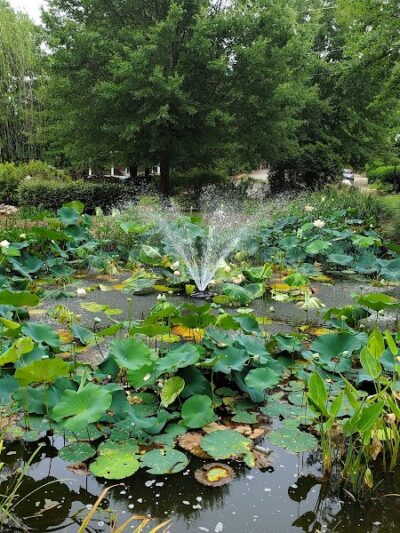 Irmo Town Park - Irmo, SC