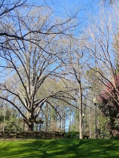 Irmo Town Park - Irmo, SC