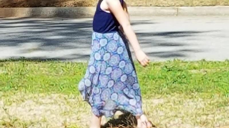 Irmo Town Park - Irmo, SC