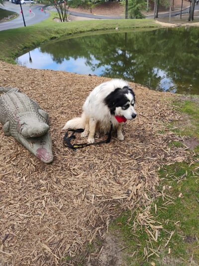 Moore Park - Irmo, SC