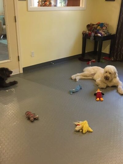 The Woods Canine Resort and Spa - Irmo, SC