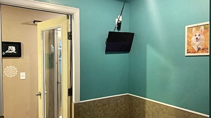 The Woods Canine Resort and Spa - Irmo, SC