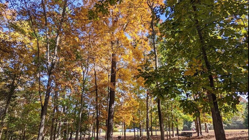 Veterans Park - Irmo, SC