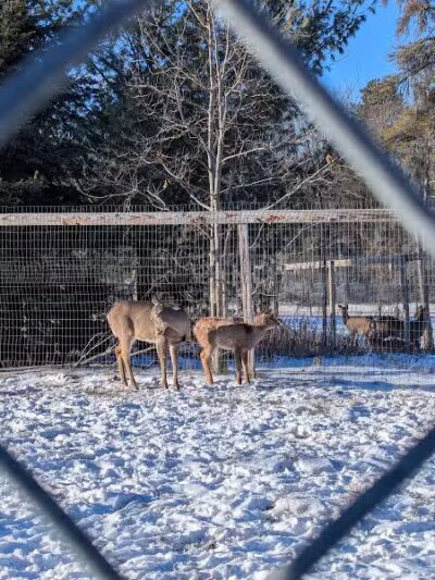 City Park - Iron Mountain, MI