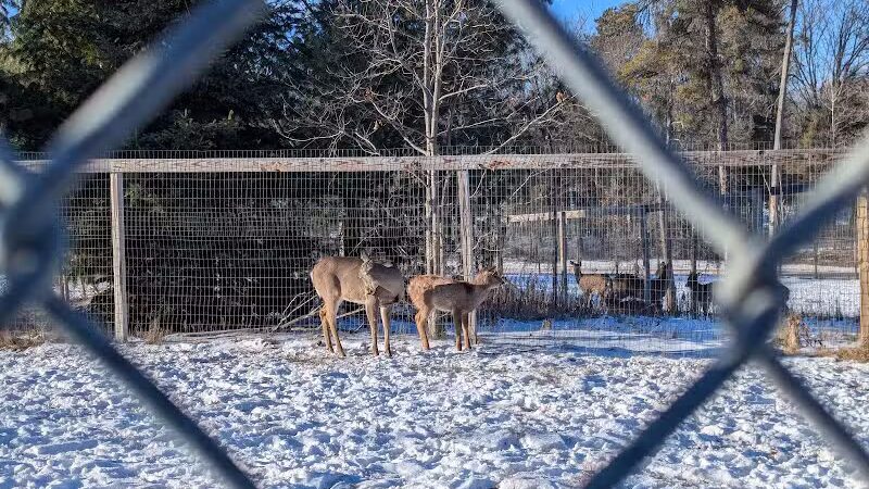 City Park - Iron Mountain, MI