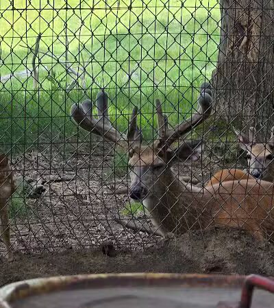 City Park - Iron Mountain, MI