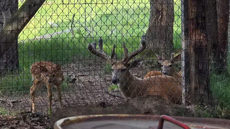 City Park - Iron Mountain, MI