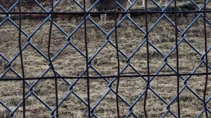 City Park - Iron Mountain, MI