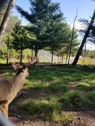 City Park - Iron Mountain, MI