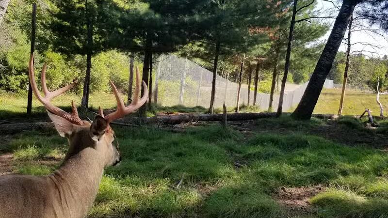 City Park - Iron Mountain, MI