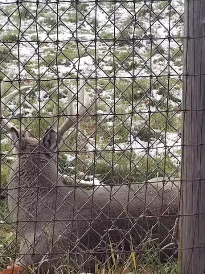 Iron Mountain City Park - Iron Mountain, MI