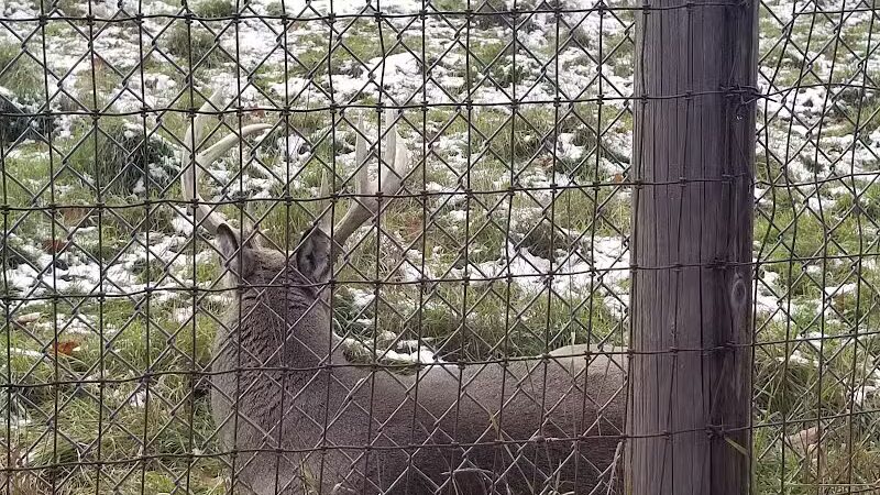 Iron Mountain City Park - Iron Mountain, MI