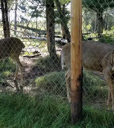 Iron Mountain City Park - Iron Mountain, MI