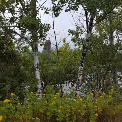 Caspian Pond - Iron River,