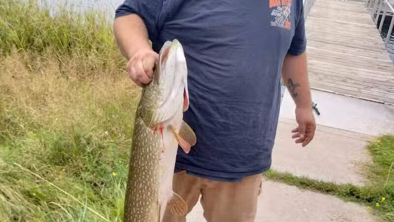 Caspian Pond - Iron River,