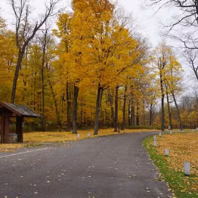 Larson Roadside Park - Iron River,