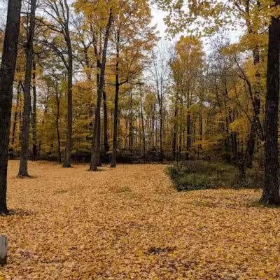 Larson Roadside Park - Iron River,