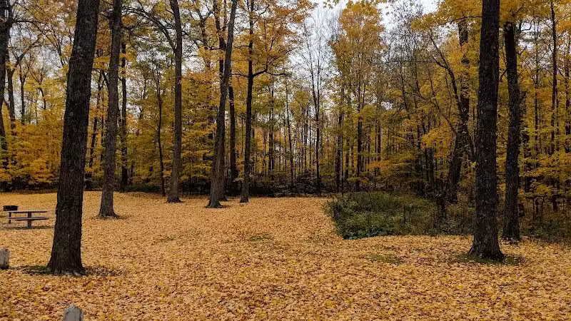 Larson Roadside Park - Iron River,