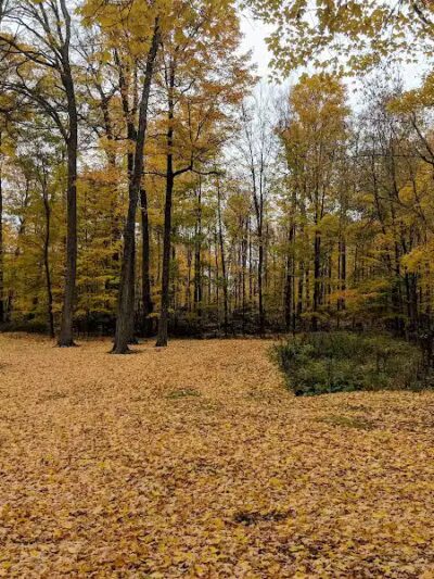 Larson Roadside Park - Iron River,