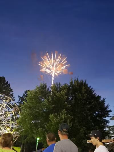 Skinner Park - Irons,