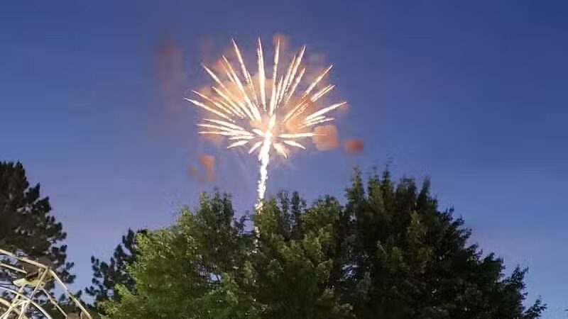 Skinner Park - Irons,