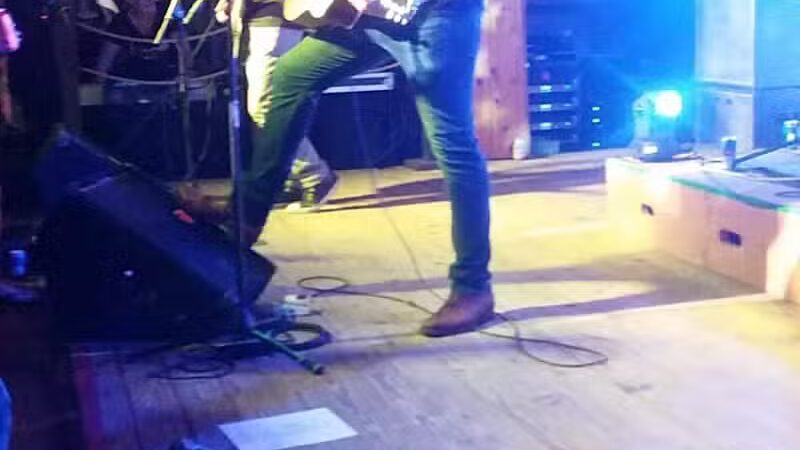 Skinner Park - Irons,