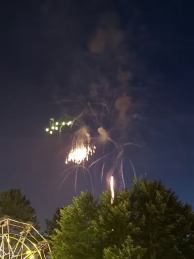 Skinner Park - Irons,