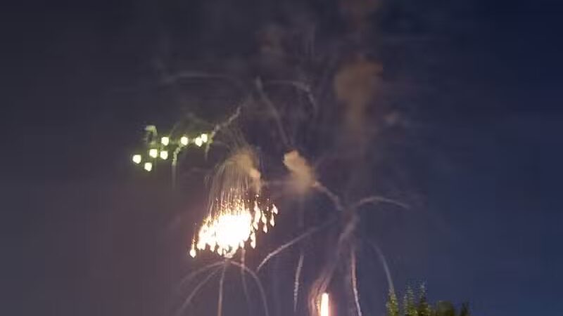 Skinner Park - Irons,