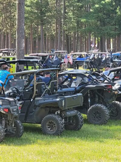 Skinner Park - Irons,