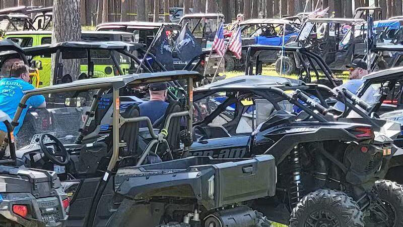 Skinner Park - Irons,