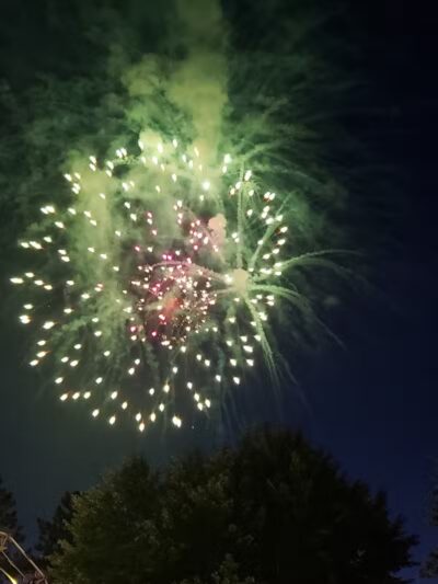 Skinner Park - Irons,