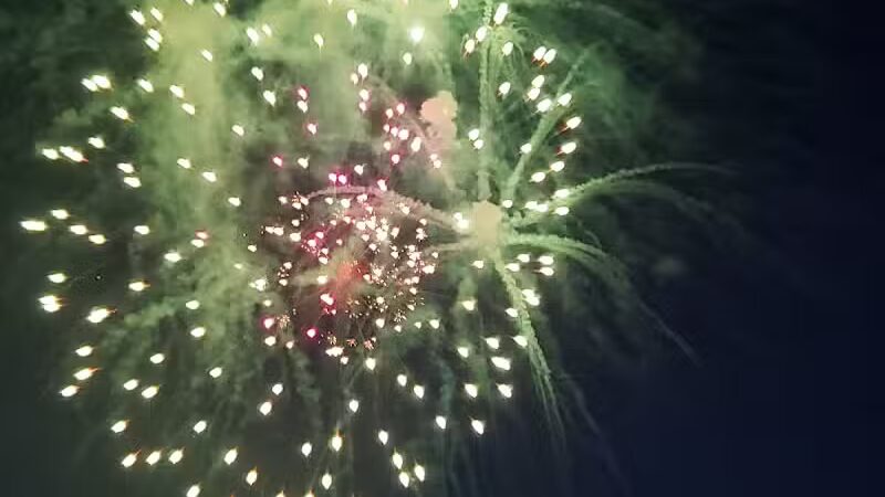 Skinner Park - Irons,