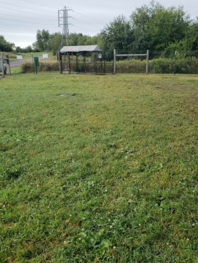 Iron King Dog Park - Ironwood, MI