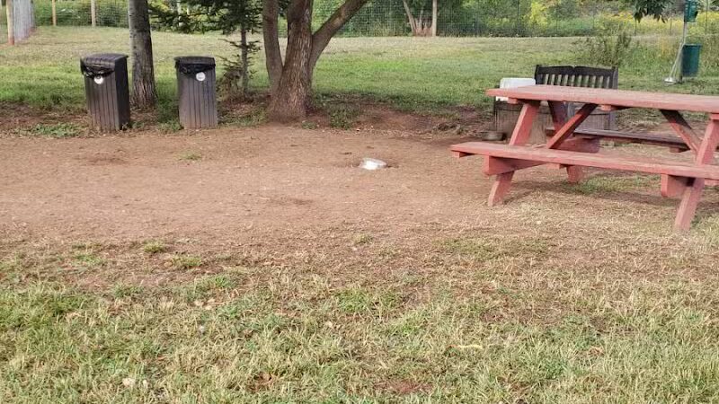 Iron King Dog Park - Ironwood, MI