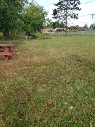 Iron King Dog Park - Ironwood, MI