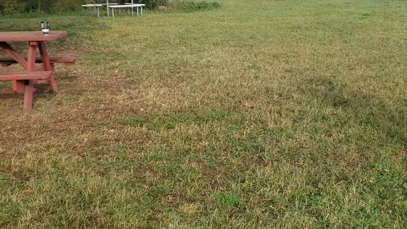 Iron King Dog Park - Ironwood, MI