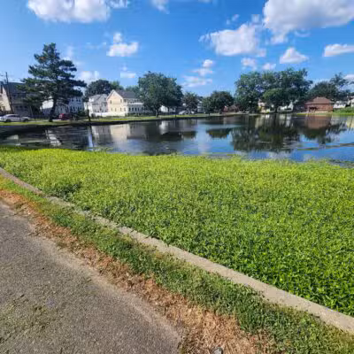Irvington Park - Irvington, NJ