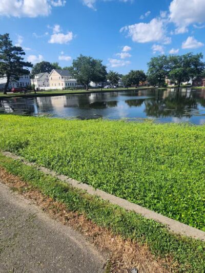 Irvington Park - Irvington, NJ