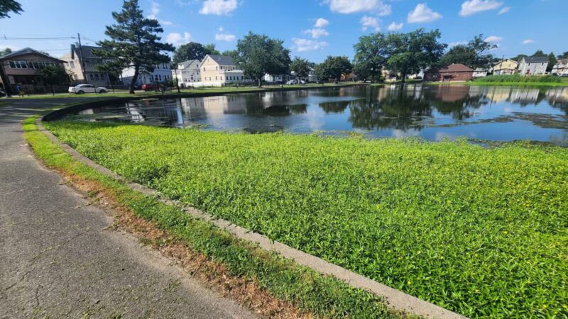 Irvington Park - Irvington, NJ